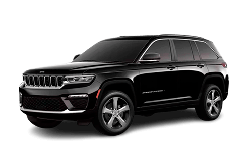 Diamond Black Crystal Pearl 